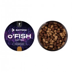 BAIT NOW WAFTERS O'FISH...